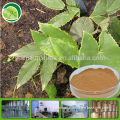 pure natural epimedium extract manufacturers with GMP factory